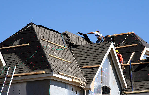 Professional Roofing Contractor in El Jebel, CO